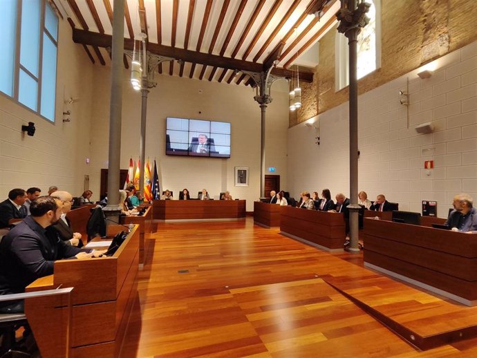 El pleno extraordinario de la Diputación PRovincial de Zaragoza celebrado este martes, 30 de abril.