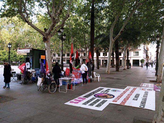 Acampada de trabajadoras del SAD en la Plaza Nueva, junto al Ayuntamiento.