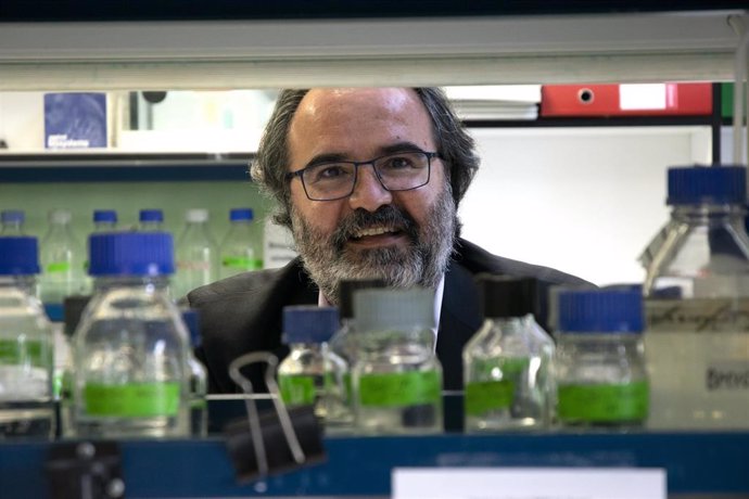 Archivo - Pere Estupinyà y Lluís Montoliu, galardonados con los Premios CSIC-Fundación BBVA de Comunicación Científica
