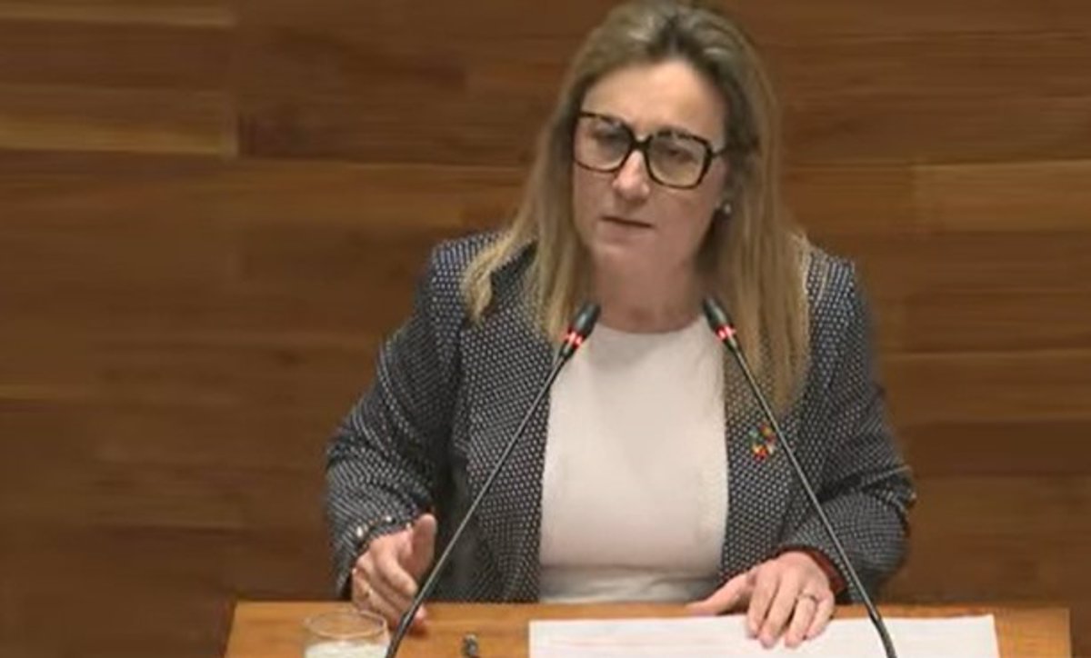 Espina (PSOE) acusa a Jové (Vox) de buscar el enfrentamiento entre las redes de enseñanza pública y concertada