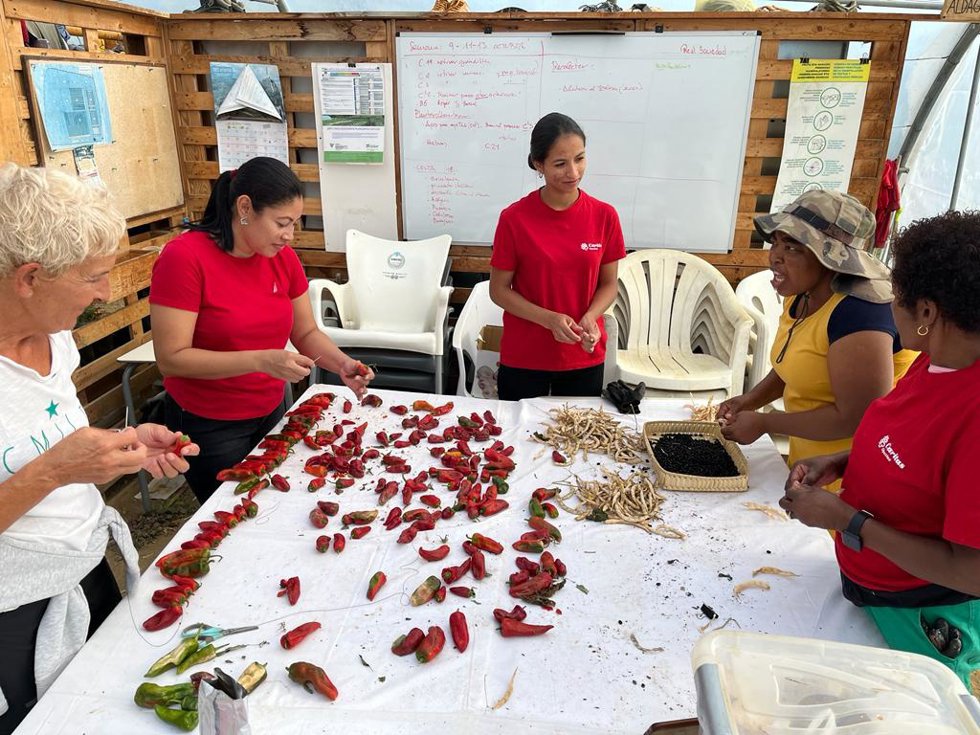 Proyecto de Caritas en Altza