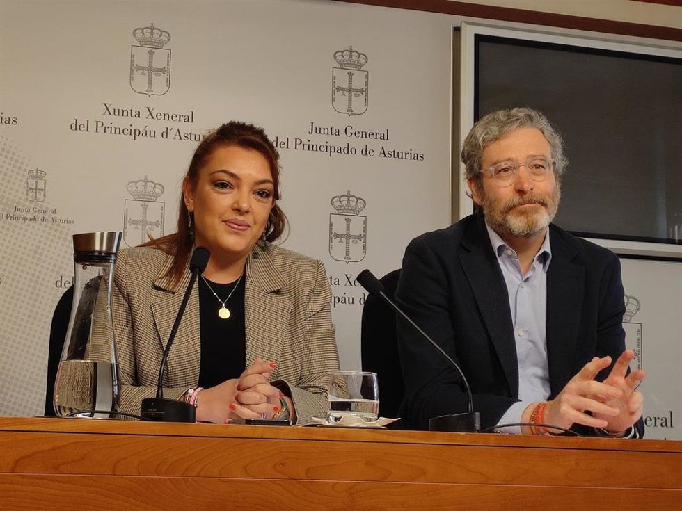Los diputados de Vox en la Junta General Carolina López y Javier Jové