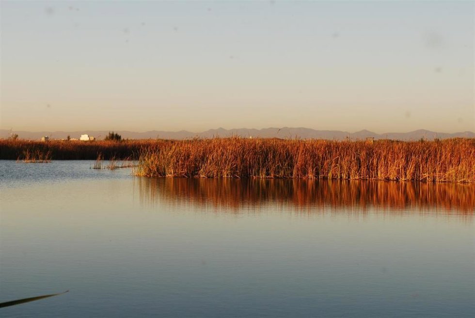 Archivo - Imagen de archivo del lago de la Albufera de Valncia.