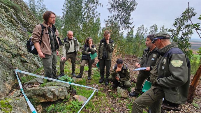 Junta identifica más de 300 ejemplares de geranio de roca en la provincia de Huelva