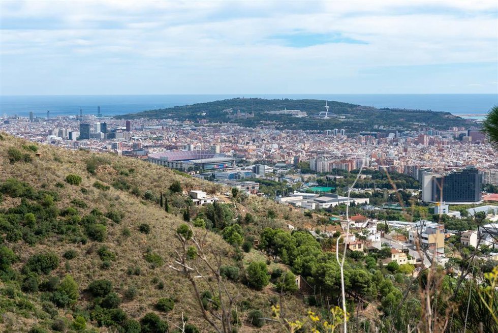 Archivo - Parque natural de Collserola.