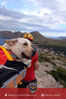 Un perro labrador es rescatado por los Bomberos de Mallorca en la Serra de Tramuntana.