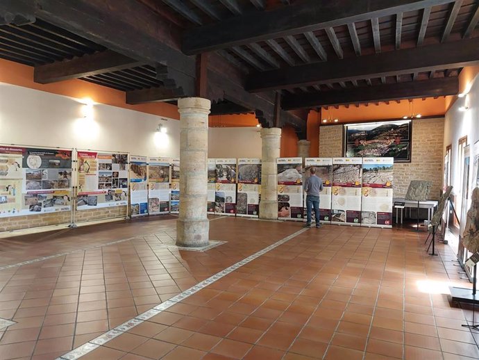 La muestra se exhibe en el salón de actos del Ayuntamiento de Linares de Mora