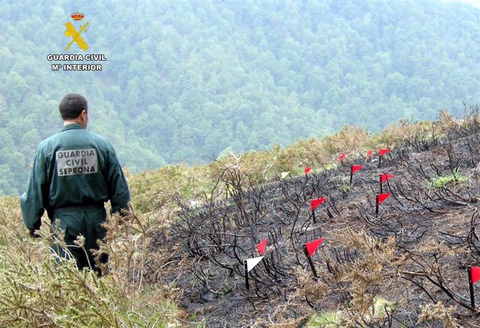 Agente de la Guardia Civil investiga un incendio forestal en Cantabria