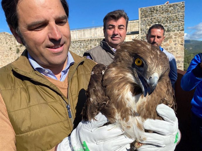 El delegado territorial de Sostenibilidad, Medio Ambiente y Economía Azul, Pedro Yórquez, ha soltado un ejemplar de águila culebrera en Cala