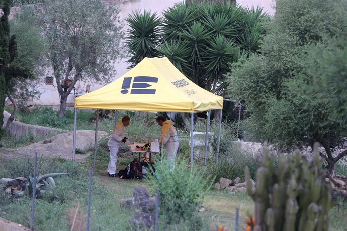 La Policía Nacional trabaja en la finca de Manacor donde se han encontrado los cadáveres.