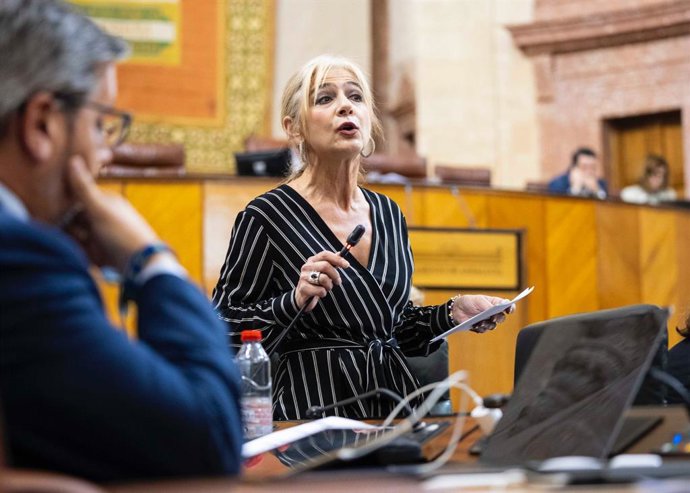 La consejera de Desarrollo Educativo y Formación Profesional, Patricia del Pozo, en el Pleno del Parlamento del 2 de mayo de 2024.