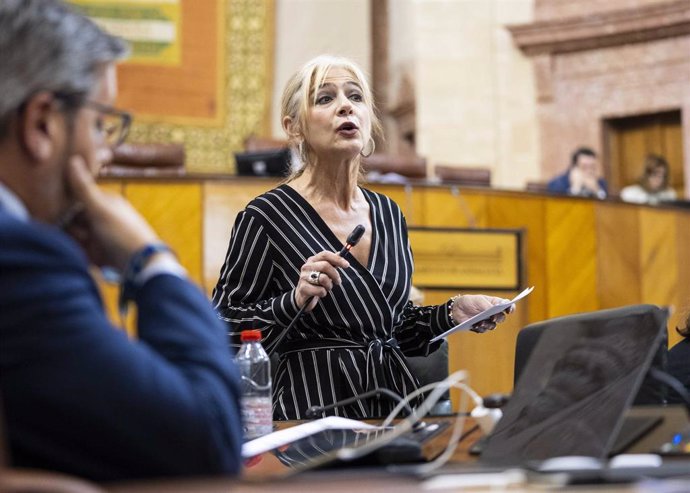 La consejera de Desarrollo Educativo, Patricia del Pozo, en una imagen de este jueves en el Pleno del Parlamento.