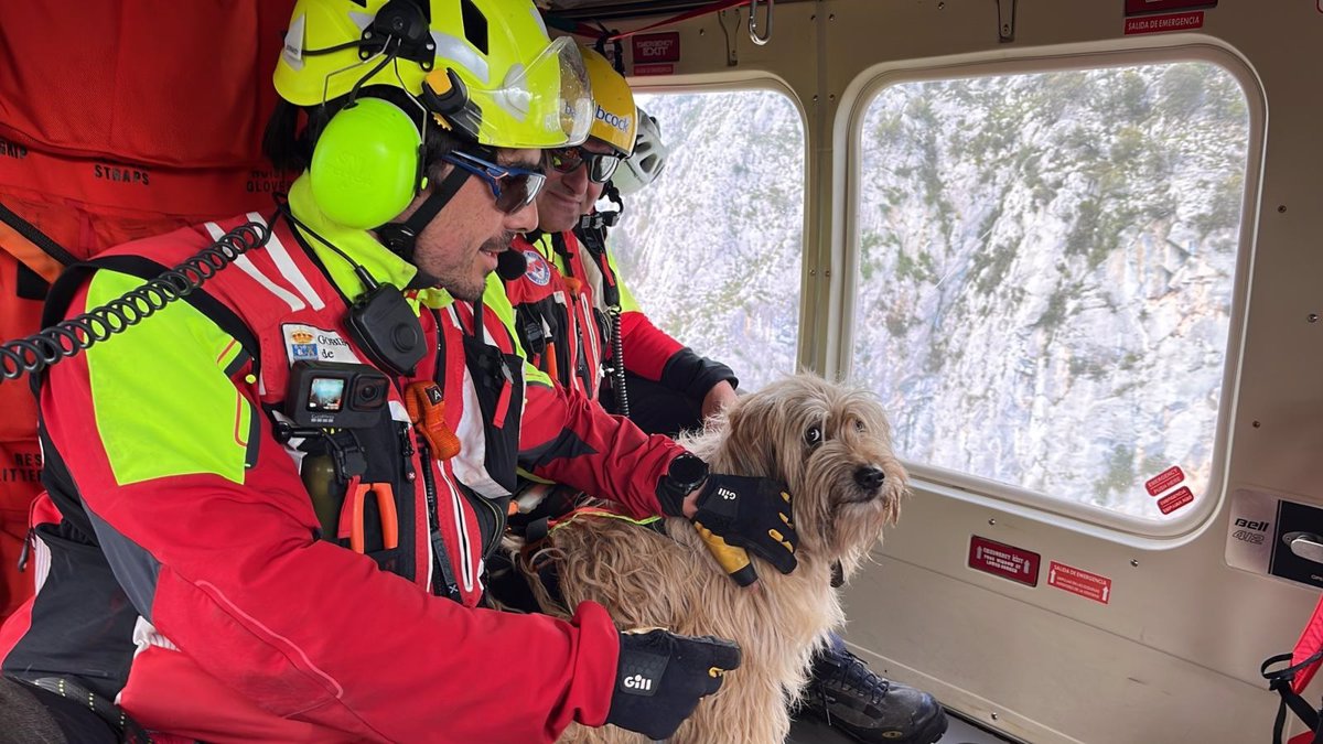 Rescatan en helicóptero a una perra atrapada desde el martes en La Hermida