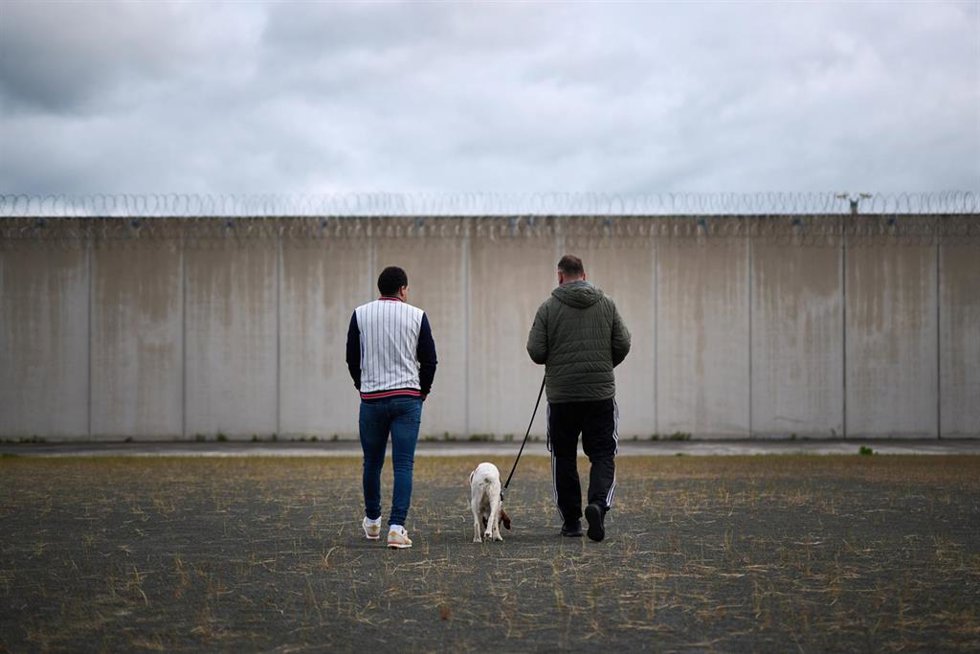Sesión de un proyecto con perros en el centro penitenciario de Pamplona.