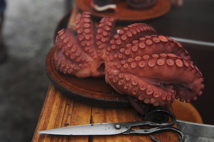 Archivo - Uno de los pulpos cocinados en la Fiesta del pulpo celebrada en O Carballiño en Orense.