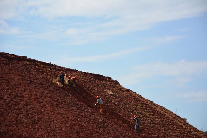 Archivo - (210718) -- KOLWEZI, July 18, 2021 (Xinhua) -- Staff members conduct afforestation and revegetation work near the waste dump at the mining site of the Chinese mining company Zijin Mining in Kolwezi, southern Democratic Republic of the Congo (DRC