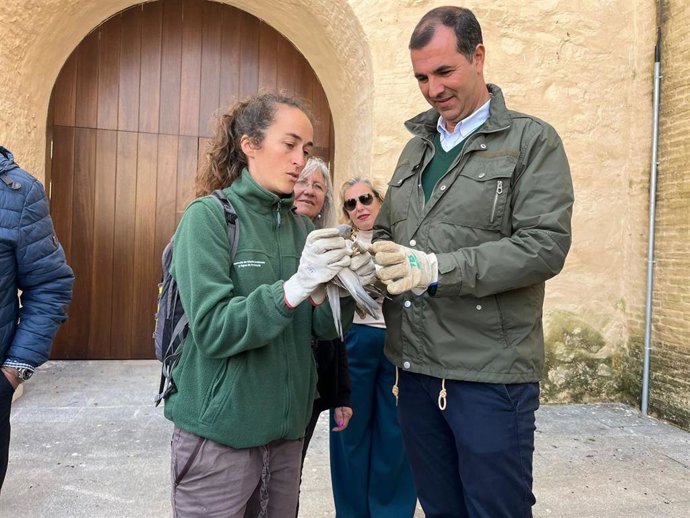El alcalde del Trigueros, Vidal Blanco, junto a una técnico de Medio Ambiente, durante la suelta de un cernícalo.