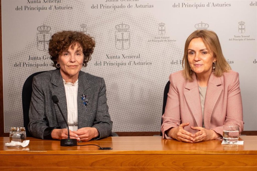 Una de las afectadas por la paralización de ayudas a la rehabilitación energética, Belén Mediavilla y la diputada del Grupo Mixto, Covadonga Tomé, en rueda de prensa.