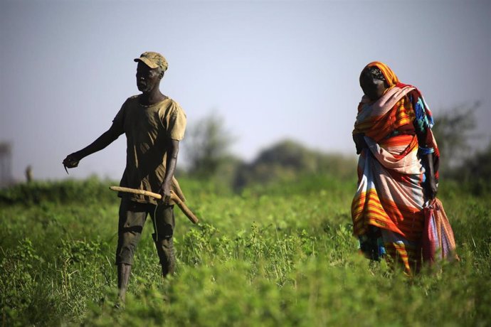 Archivo - Imagen de archivo de agricultores en Sudán, antes del estallido de la guerra 