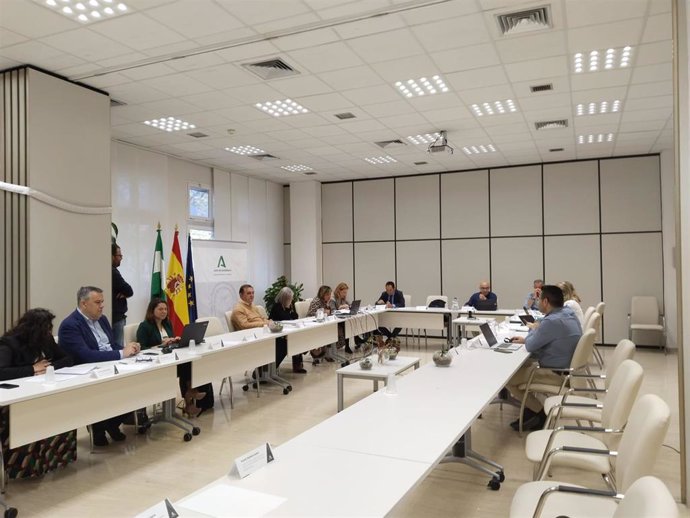 Salud anuncia que el documento "definitivo" del  Plan Estratégico de Salud Mental y Adicciones de Andalucía "está previsto para finales de 2024"