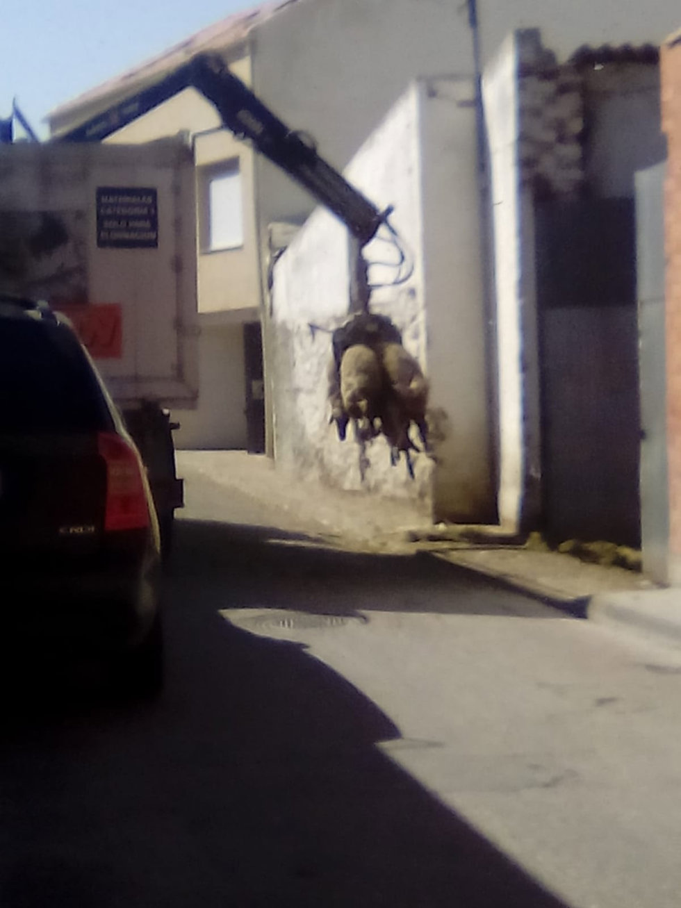 Intervienen una explotación ganadera "presuntamente ilegal" en Renedo de Esgueva (Valladolid) tras denuncia de PACMA