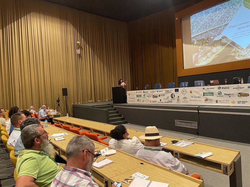 Jornadas Técnicas Internacionales Cultivos Tropicales en una imagen de archivo