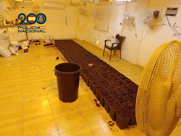 Vídeo de la noticia