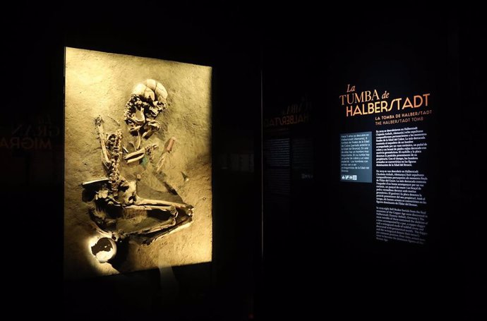 Archivo - El MARQ realiza una jornada de puertas abiertas sobre la exposición 'Dinastías' por el Día de Europa