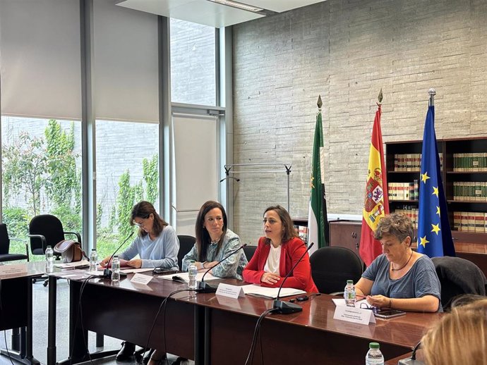 Reunión en Mérida del Observatorio Extremeño contra la Discriminación por Orientación Sexual e Identidad de Género