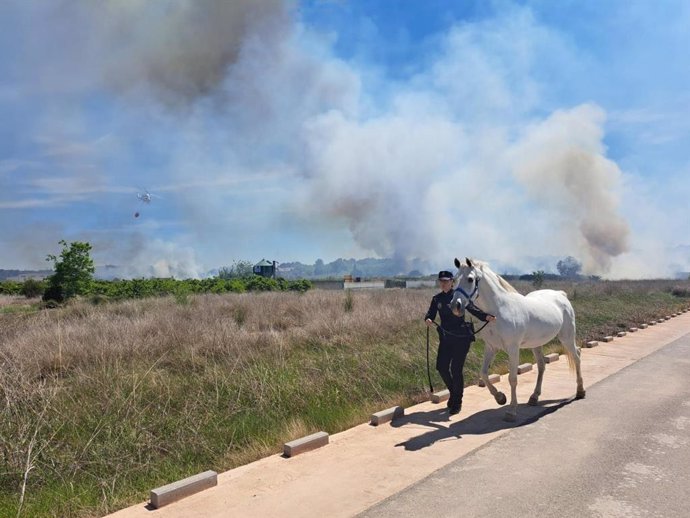 Imagen del incendio en Riba-roja