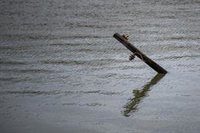 ERC, Junts+ y PSC descartan el trasvase del Ebro por la sequía y PP y Vox lo defienden