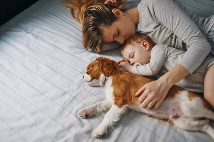 Archivo - Madre, hijo y perro durmiendo