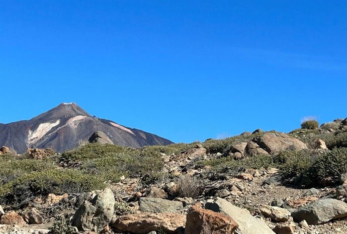 Teide