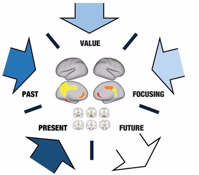 La teoría de la Termodinámica de la Mente permite descubrir la jerarquía del cerebro y encontrar las redes de regiones del cerebro que orquestan la integración del presente, el pasado y su importancia para enfocarse en la planificación del futuro