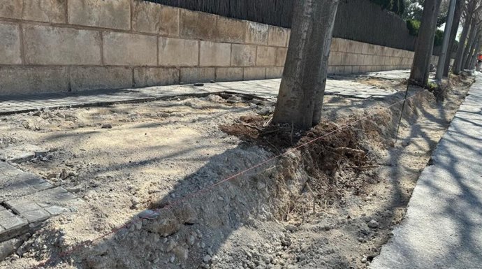 Obras realizadas en la zona de Son Rapinya, en Palma, por el Ayuntamiento de Palma.