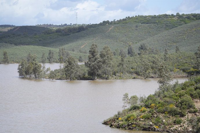 Archivo - Embalse de Aznalcóllar. A 01 de abril de 2024, en Sevilla (Andalucía, España). 