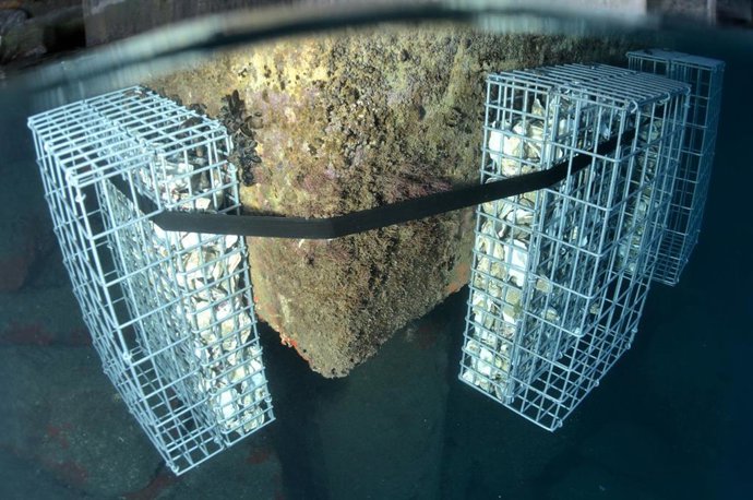 Dos 'biohuts' instalados bajo el mar.