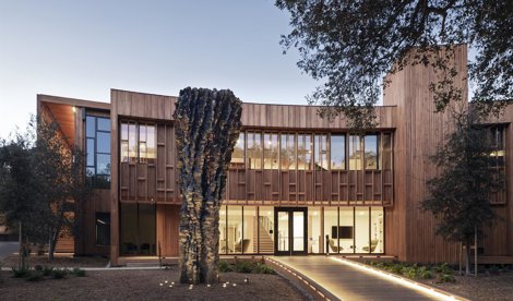 Comunicados Internacional