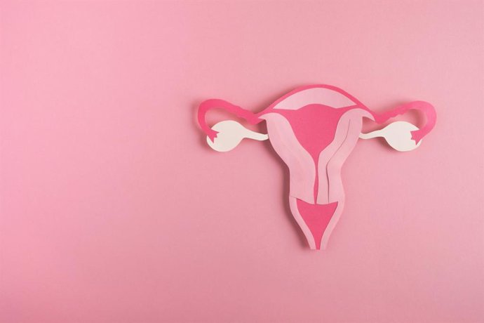 Archivo - Salud de la mujer, concepto de sistema reproductivo.