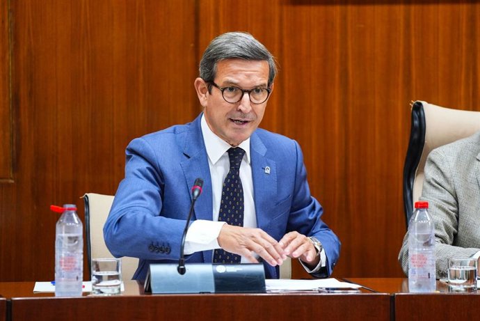 El consejero de Industria, Energía y Minas, Jorge Paradela, en comisión parlamentaria.