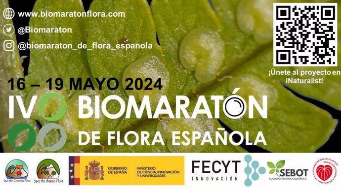 La Sociedad Botánica Española convoca el IV Biomaratón de Flora Española para el 16 a 19 de mayo.