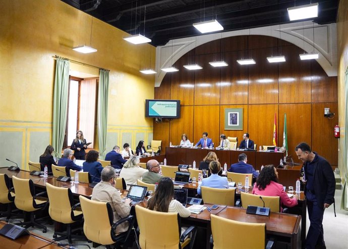 Comisión parlamentaria de Justicia en la Cámara autonómica.