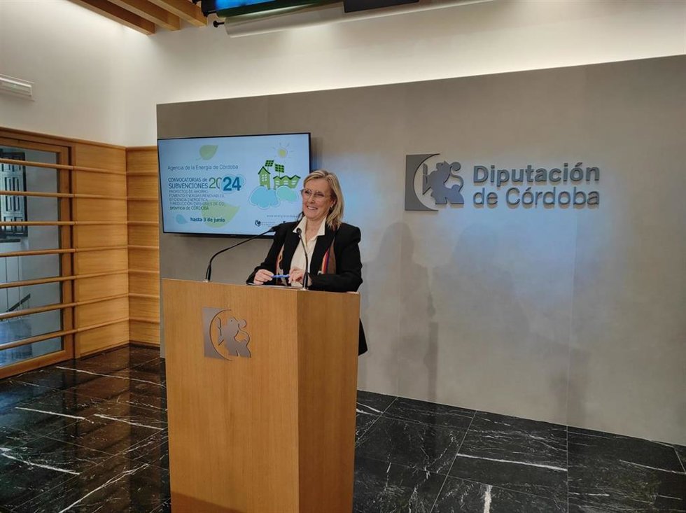 La presidenta de la Agencia Provincial de la Energía, Tatiana Pozo, en rueda de prensa.