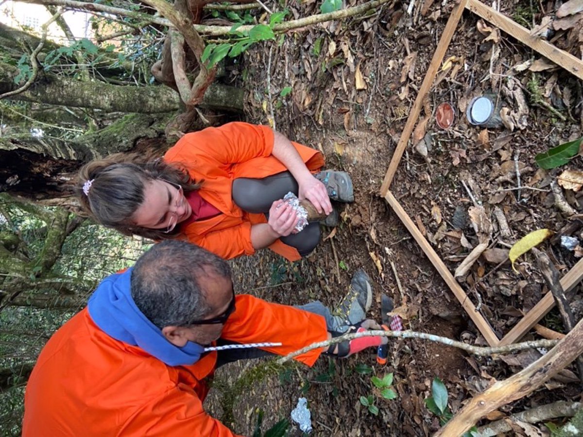 Un estudio de la ULL detecta microplásticos en el Parque Rural de Anaga (Tenerife)