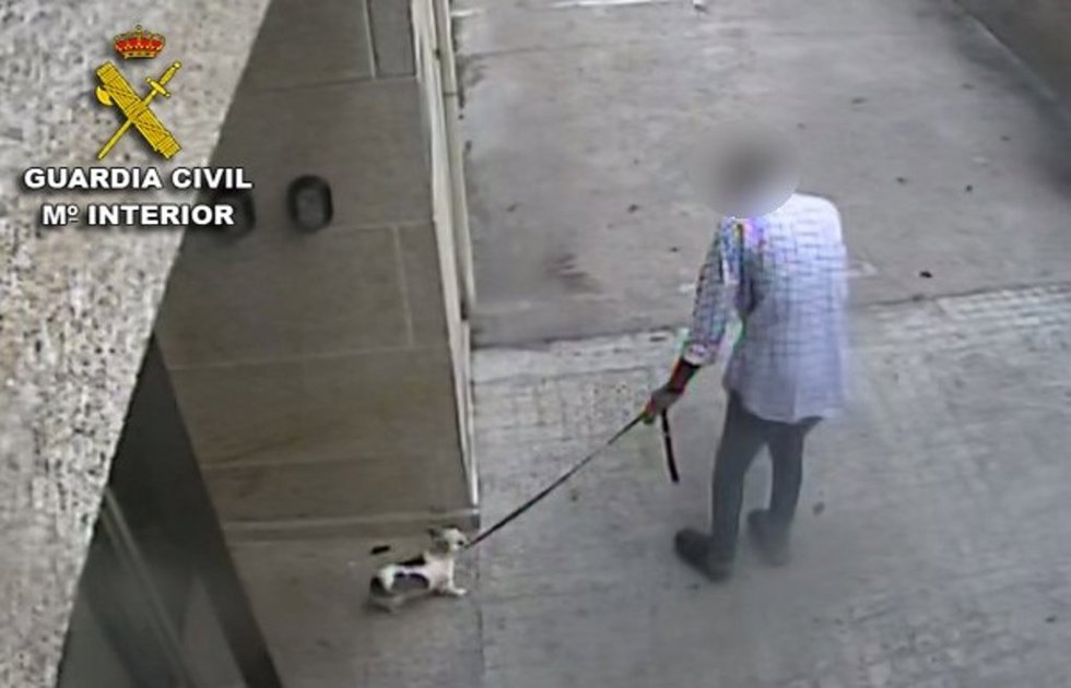 Archivo - Condenado por matar a su perra levantándola por la correa y arrojándola violentamente contra el suelo.