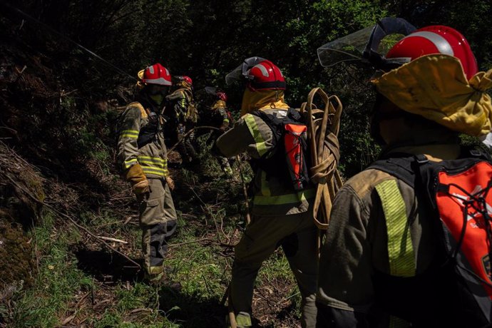 Agentes de los equipos de bomberos trabajan en el lugar del incendio, a 16 de abril de 2024, en Crecentes, Pontevedra, Galicia (España).