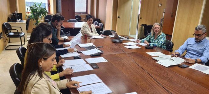 Reunión de la comisión de seguimiento de Acuaes y el Cabildo de Tenerife sobre la ejecución de los sistemas de saneamiento en la isla
