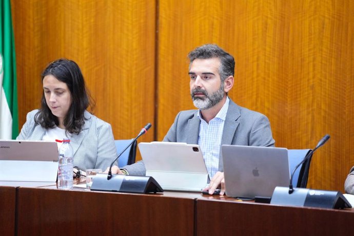 El consejero de Sostenibilidad, Medio Ambiente y Economía Azul, Ramón Fernández-Pacheco, en comisión parlamentaria.