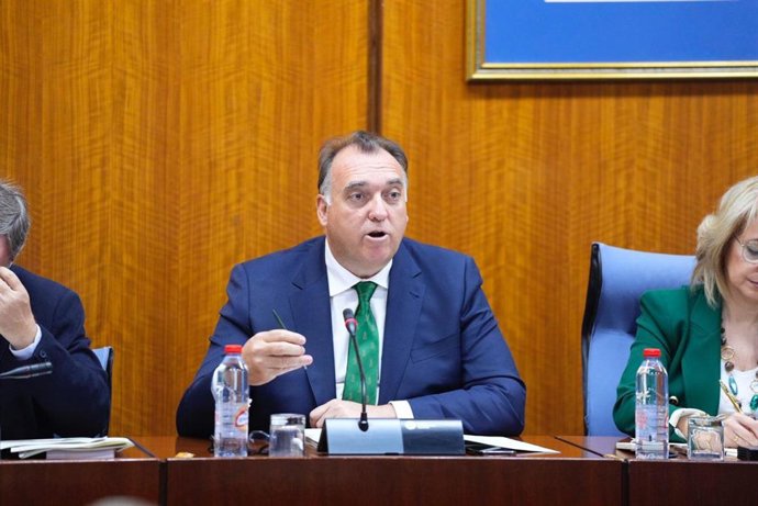 El consejero de Turismo, Cultura y Deporte, Arturo Bernal, en comisión parlamentaria.