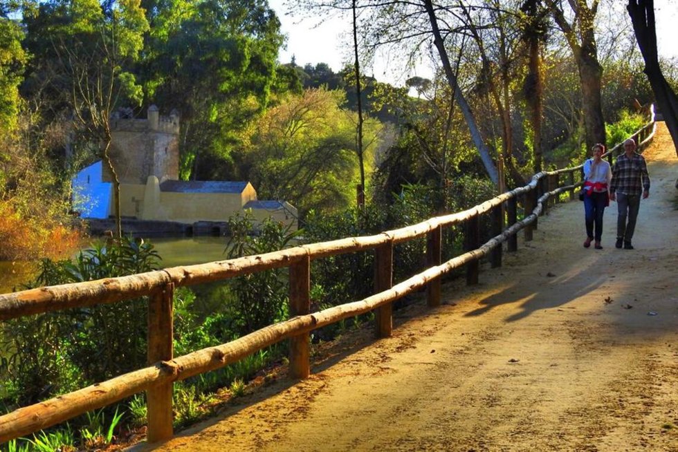 Imagen del Monumento Natural Riberas del Guadaíra.